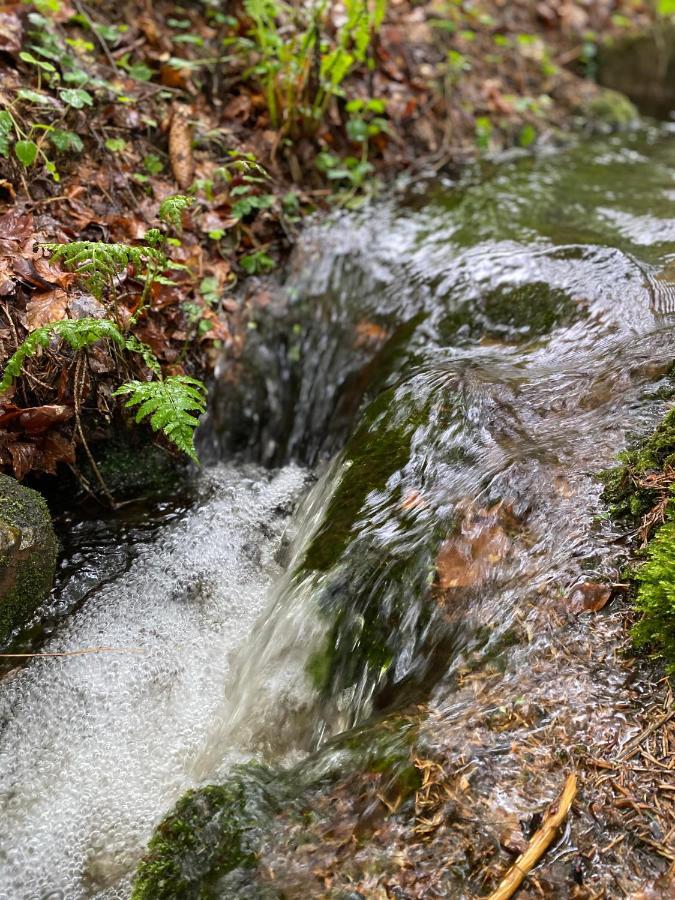 Chata Karel Bublava Exteriér fotografie
